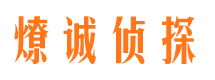 天柱市调查公司